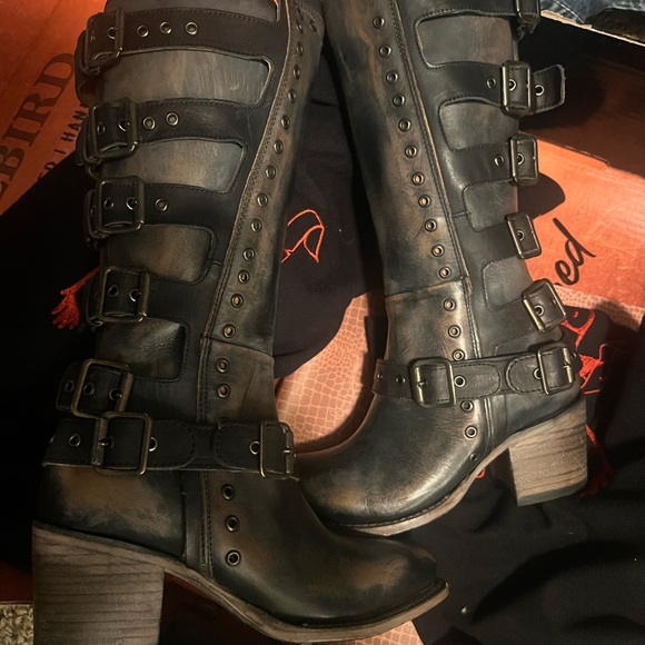 Freebird Derby - never worn - comes with box - Picture 3 of 5